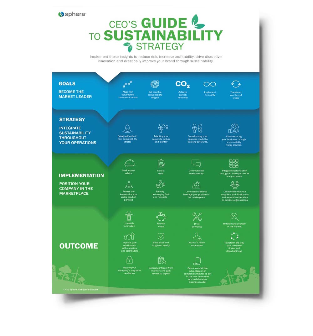 CEO's Guide to Sustainability Strategy