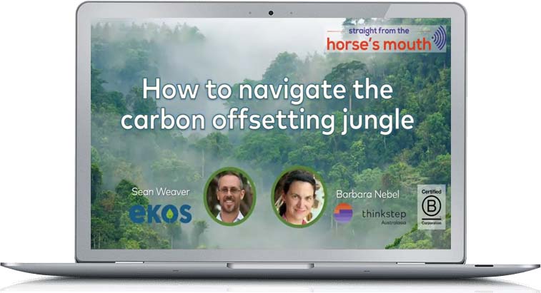 How to Navigate the Carbon Offsetting Jungle