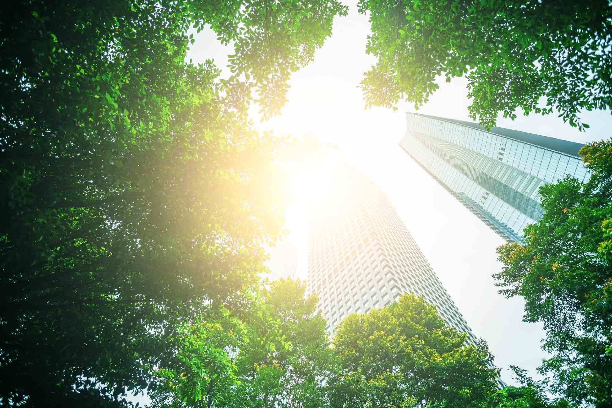 Cinque modi attraverso i quali la sostenibilità guida le attività aziendali