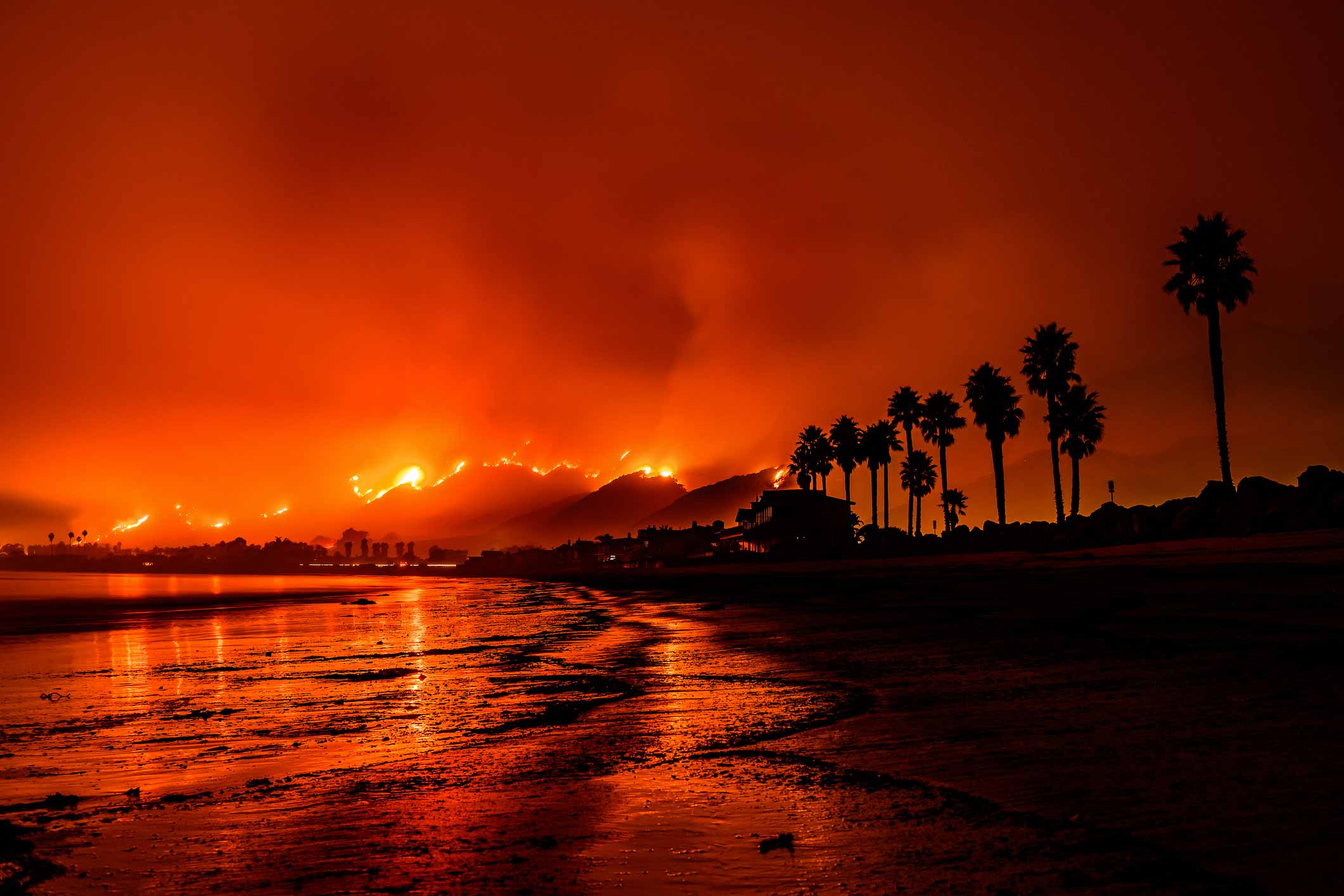 Wildfires Are Spreading Quickly, So What the ‘Devil’ Can We Do About It?