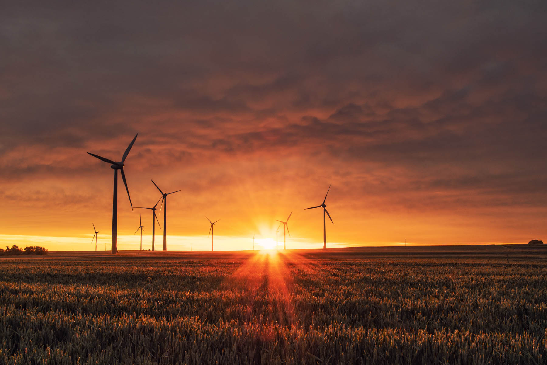 Evaluating Sustainability of Wind Energy: Fact-Based Insights Through LCA