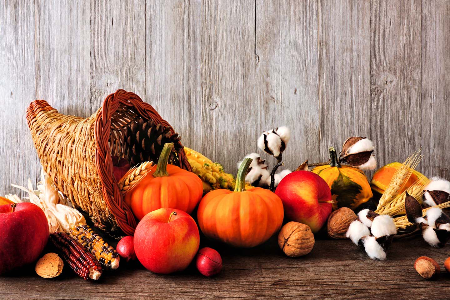 Gobble This Up: 6 Tips for a More Sustainable Thanksgiving