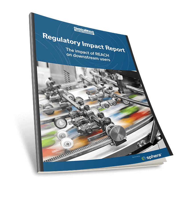 Regulatory Impact Report: The Impact of REACH on Downstream Users