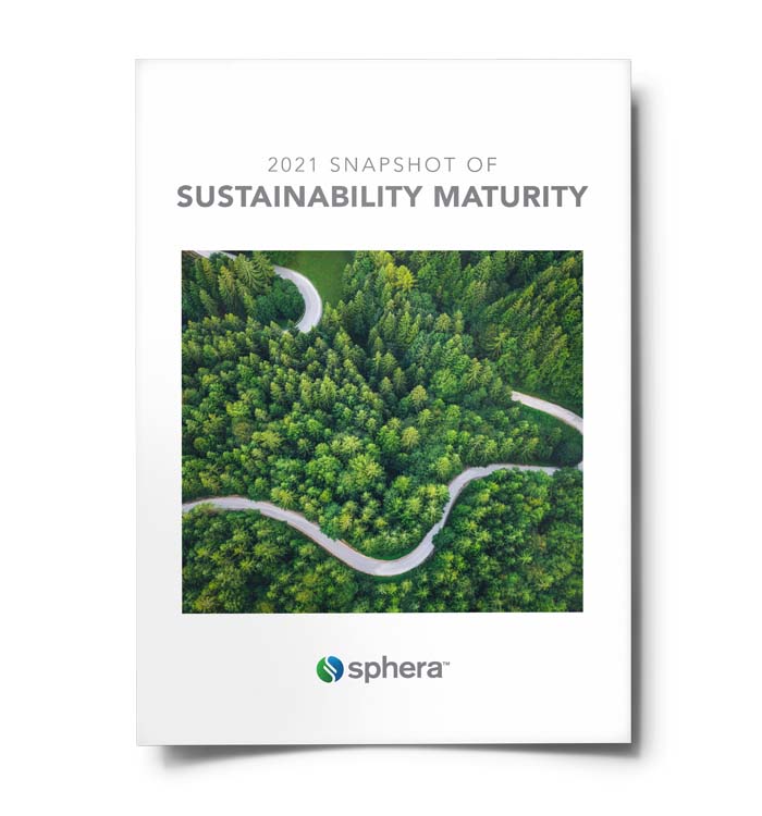 2021 Snapshot of Sustainability Maturity 1