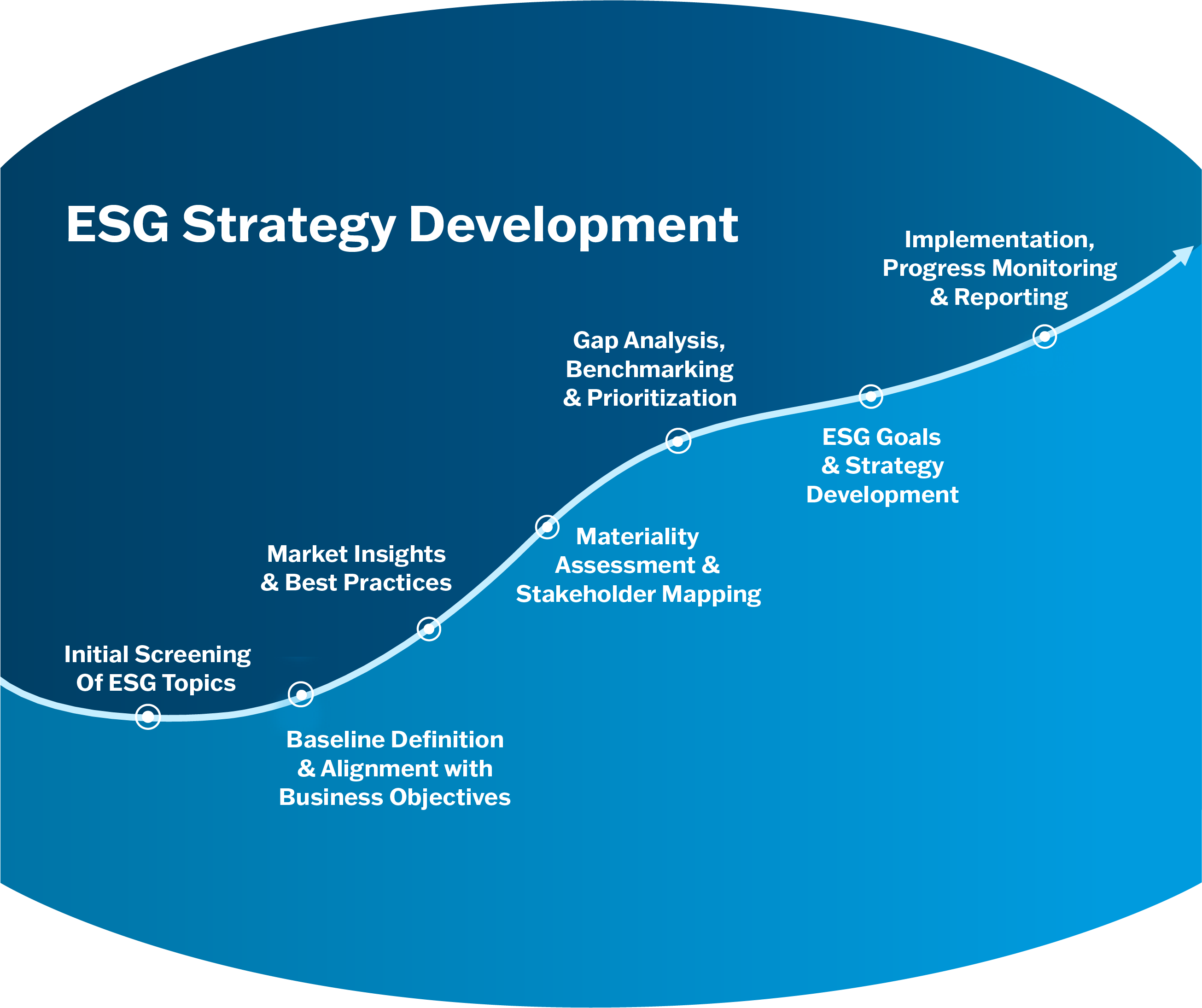 ESG Strategy Development