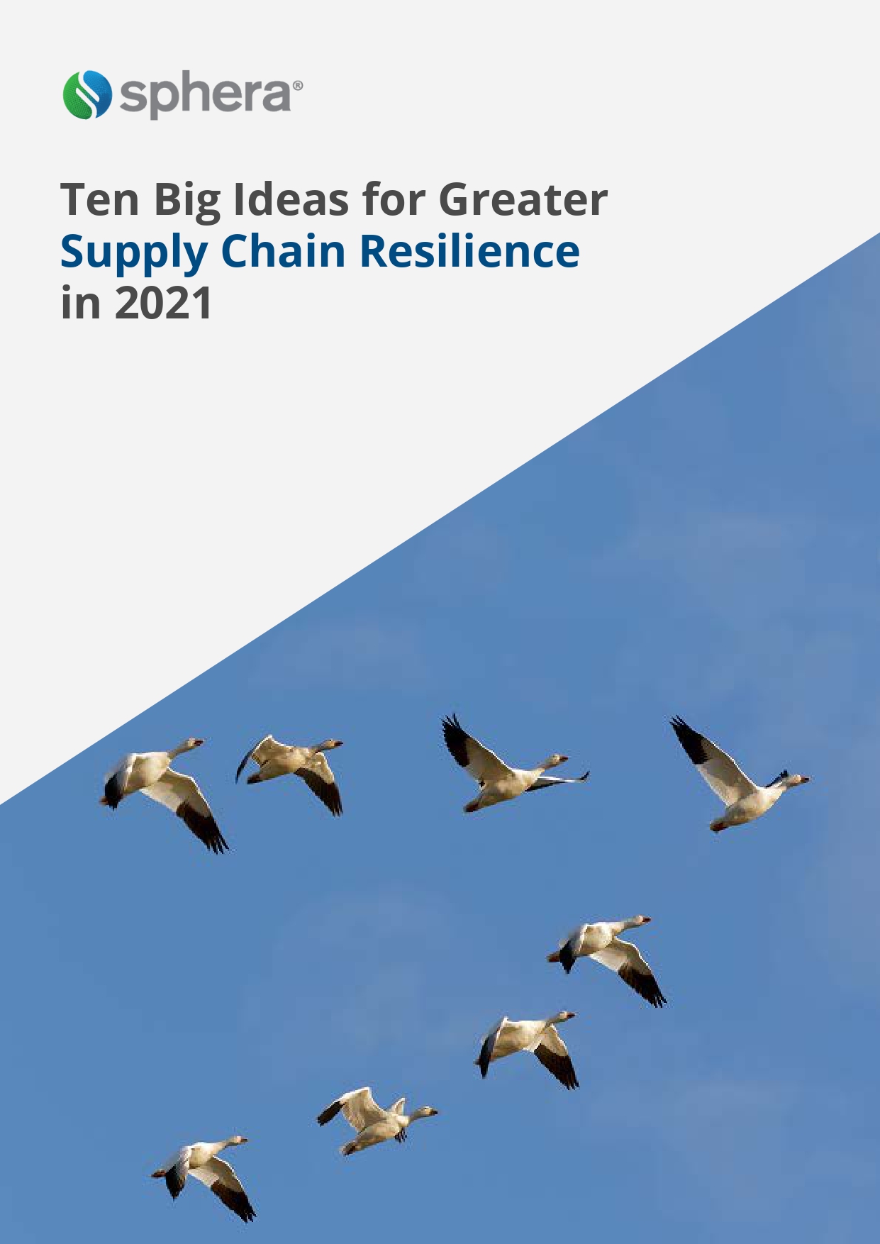 Ten Big Ideas For Greater Supply Chain Resilience