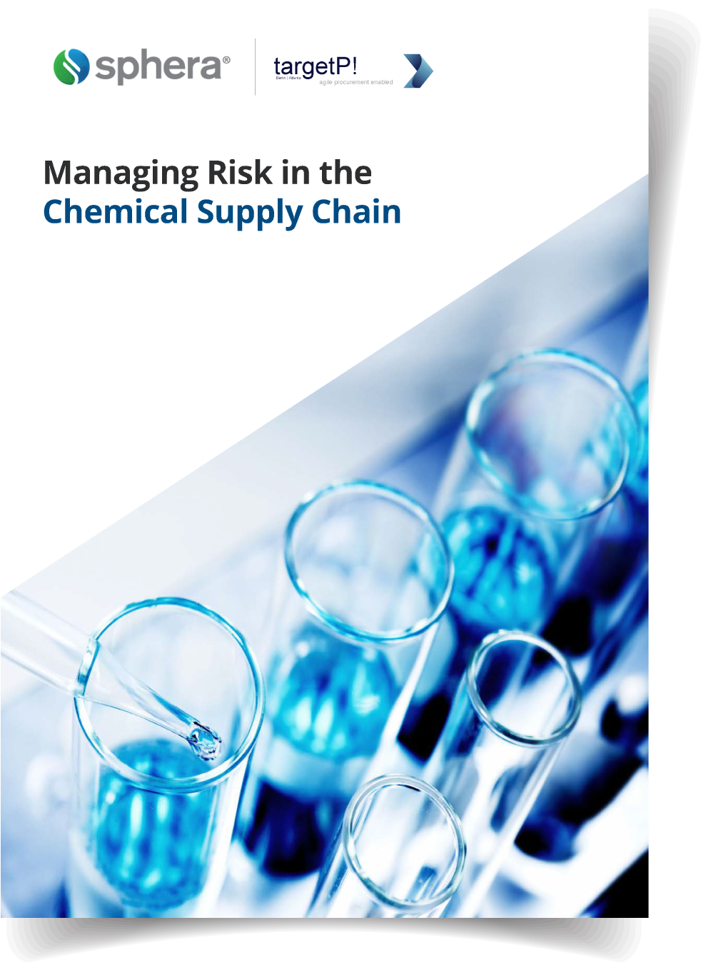 Managing Risk in the Chemical Supply Chain