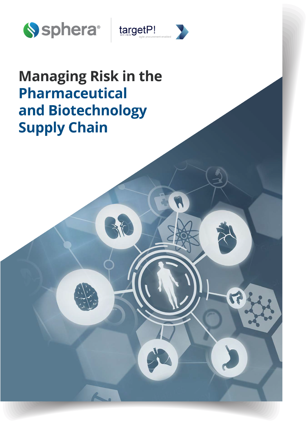 Managing Risk in the Pharmaceutical and Biotechnology Supply Chain