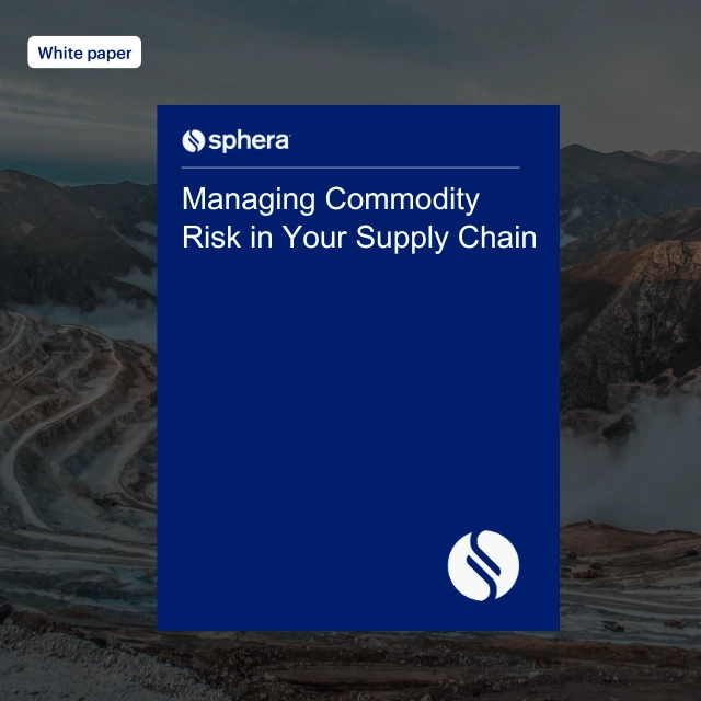 WP How Digital Transformation Leads to Supply Chain Resilience (2) copy
