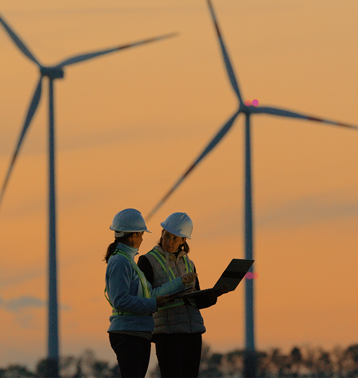 people in the windmills