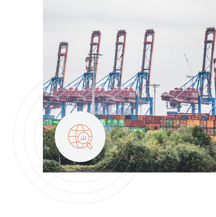 Supply Chain Sustainabilty Module Graphics_Environmental Assessments – Carbon footprint clarity