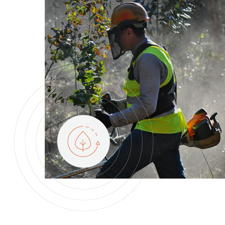 Supply Chain Sustainabilty Module Graphics_Regulatory Compliance – European Union Deforestation Directive (EUDR)