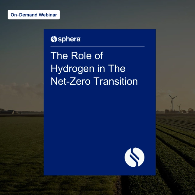 WO 051 – The Role of Hydrogen in The Net-Zero Transition copy