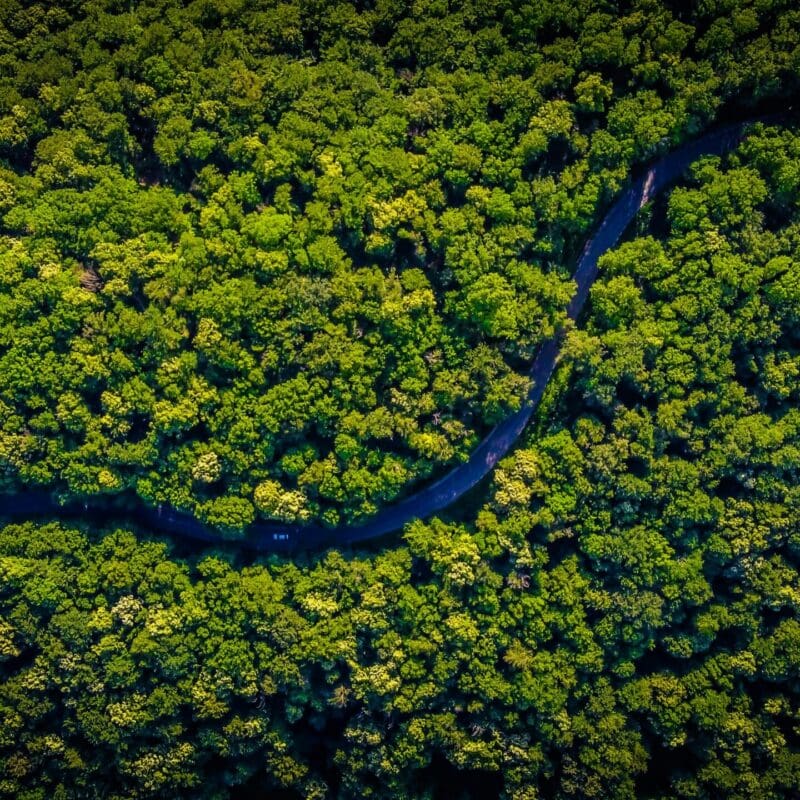 vlad-hilitanu-pt7QzB4ZLWw-unsplash