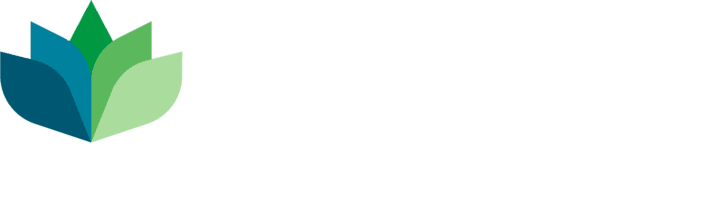 thesis (1)