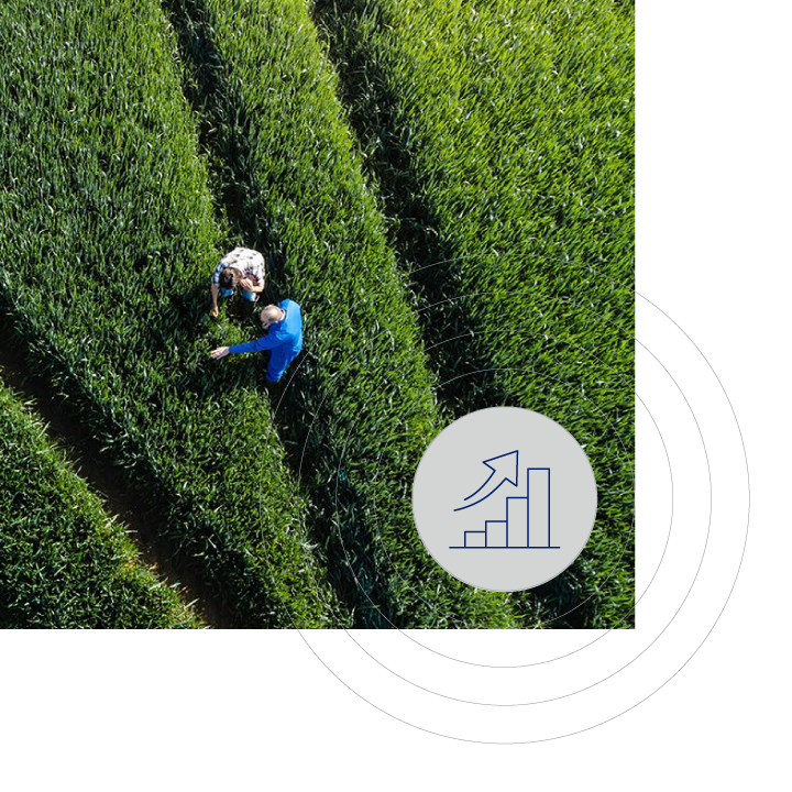 Decarbonization three