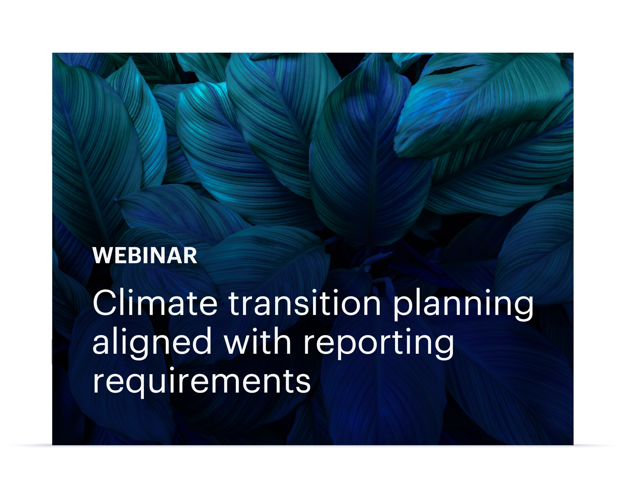 Climate transition planning