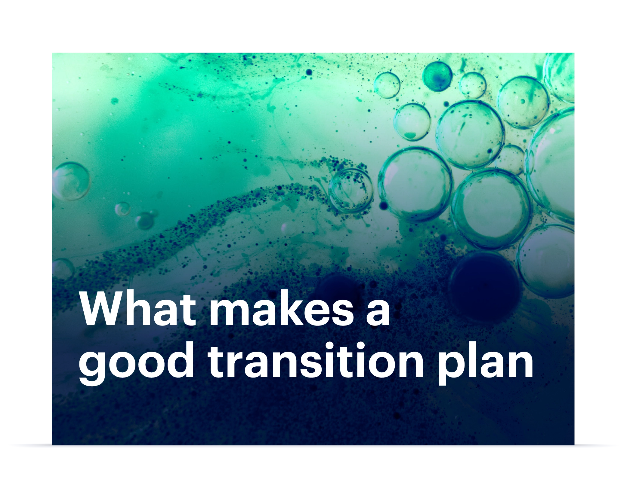 eBook what makes a good transition plan
