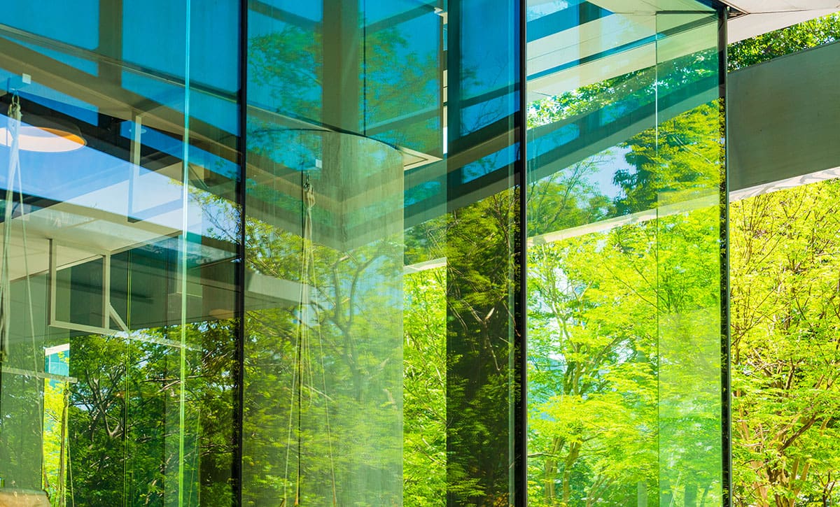 Abstract forest background behind window panes